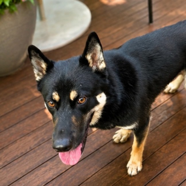 Photo of Jandira 