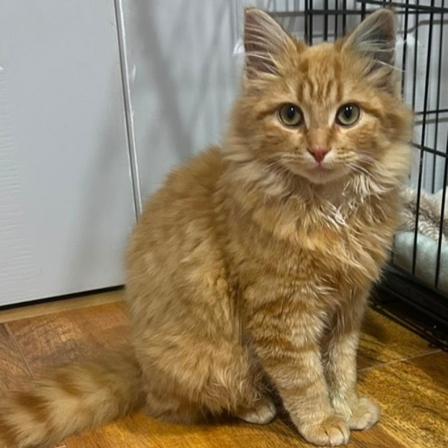 Photo of Binky