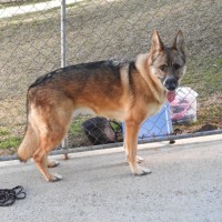 Photo of Trigger