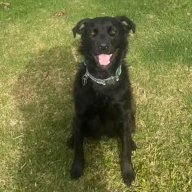 Photo of Luna