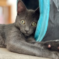 Photo of ♌️ Leo ♌️