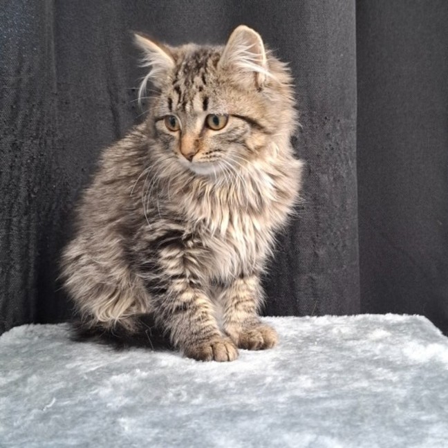 Photo of Cassie