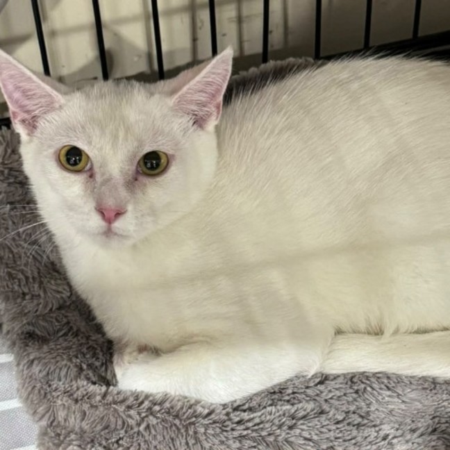 Photo of Christopher 