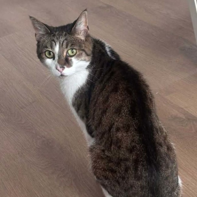Photo of Jethro