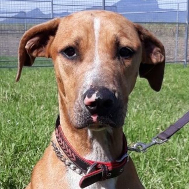 Photo of Princess Jay