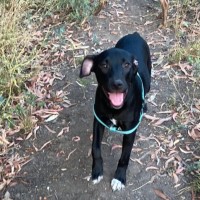 Photo of Mavis