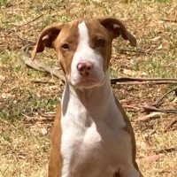 Photo of Brian Mannix