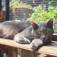 Photo of Felicia 🌹