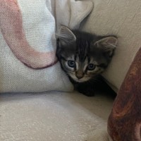 Photo of Louise