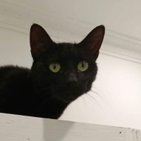 Photo of Sabrina 