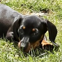 Photo of Sumi (Aka Katy)