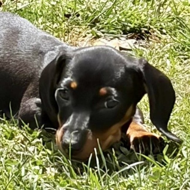 Photo of Sumi (Aka Katy)