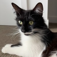 Photo of Polly