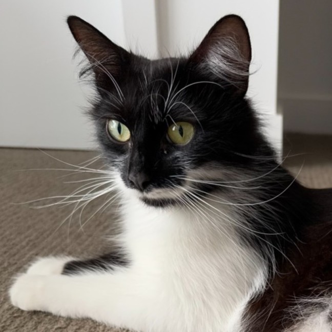 Photo of Polly