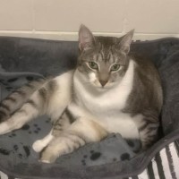 Photo of Ellie