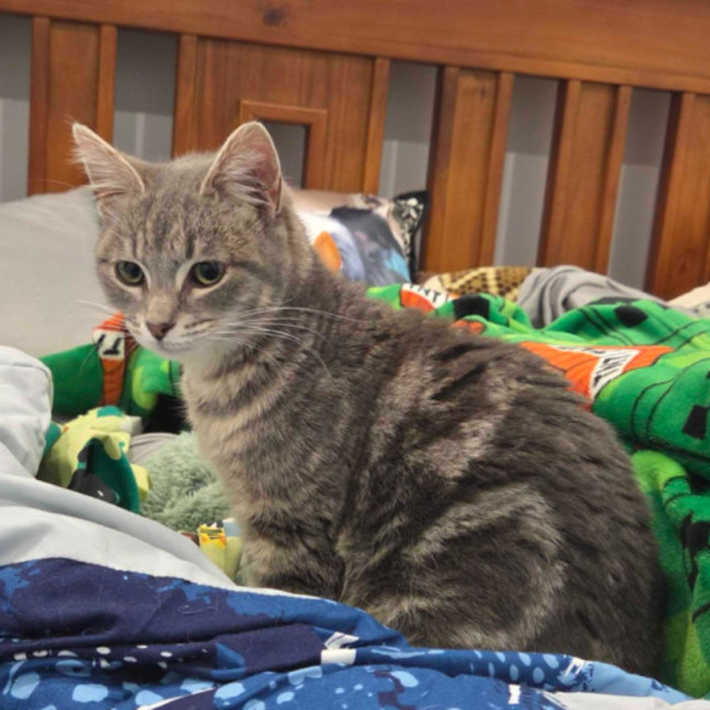 Photo of  Brixie Rue