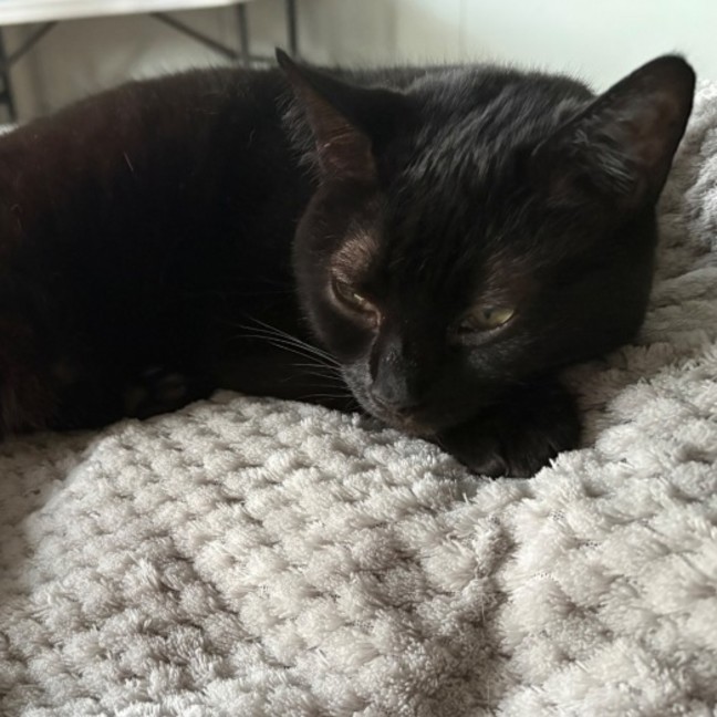 Photo of Precious