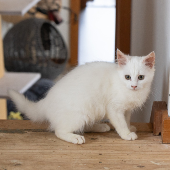 Photo of Thelma