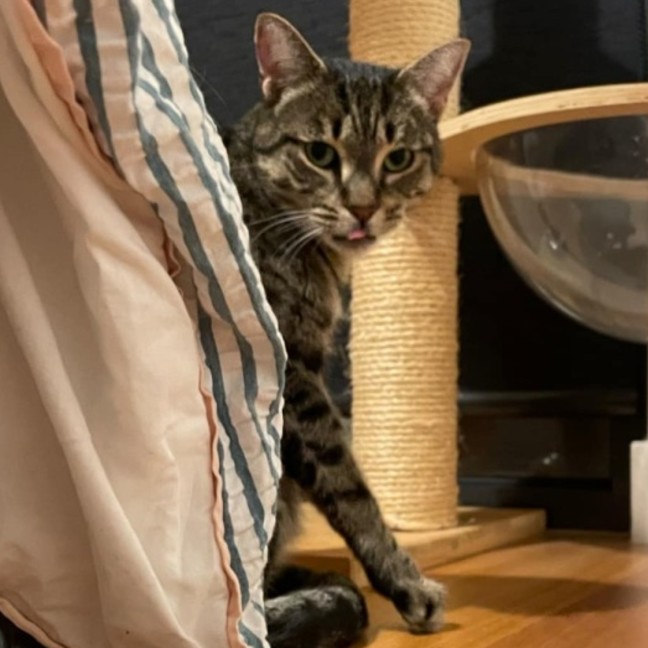 Photo of Suzie   Located In Macleod