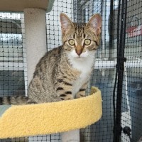 Photo of Pip