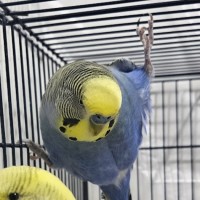 Photo of Ocean & Bebe