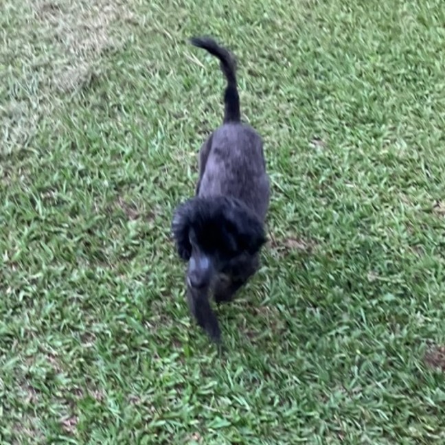 Photo of Zena