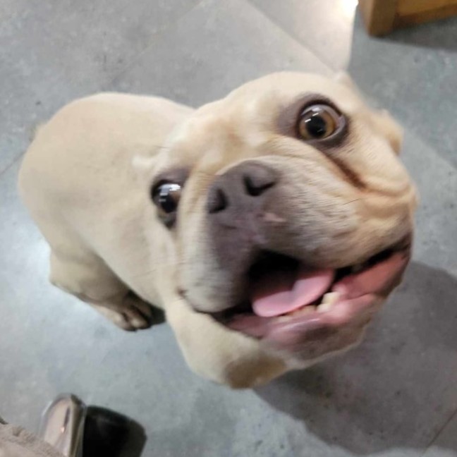 Photo of Deja