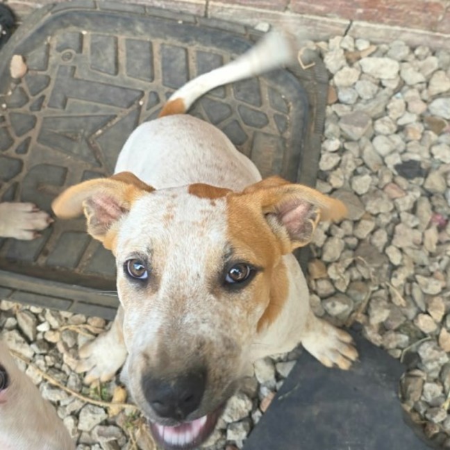Photo of Sunny 