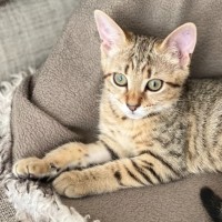 Photo of Mary