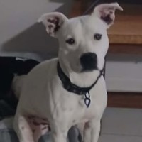 Photo of Sebastian