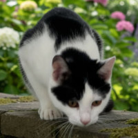 Photo of Olivia