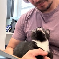 Photo of Mickey Mouse