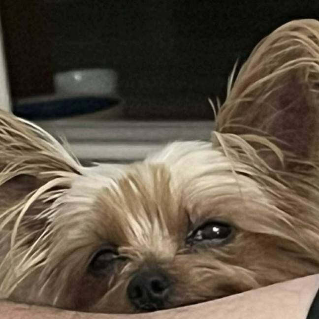 Photo of Tess
