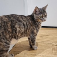 Photo of Lucy