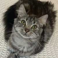 Photo of Megan