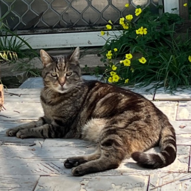 Photo of Jagger   Can Transport To You 