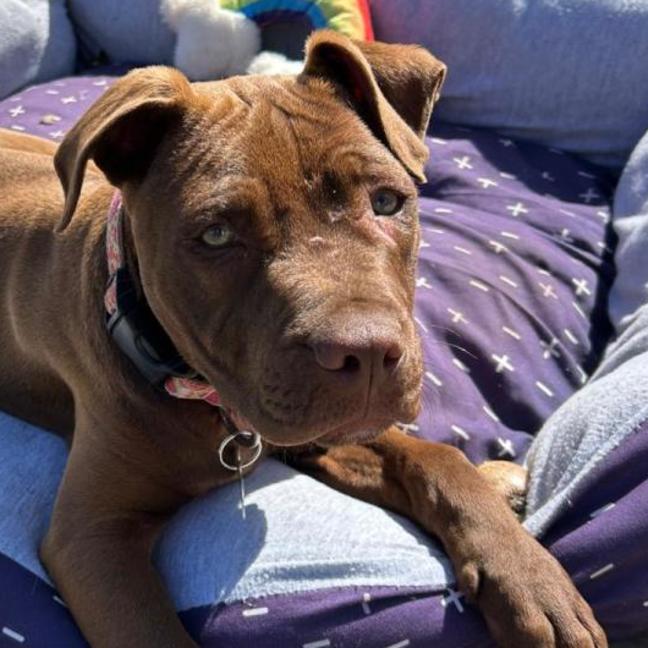 Photo of Zap