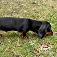 Photo of Sumi (Aka Katy)