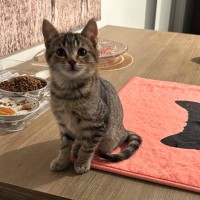 Photo of Odin 