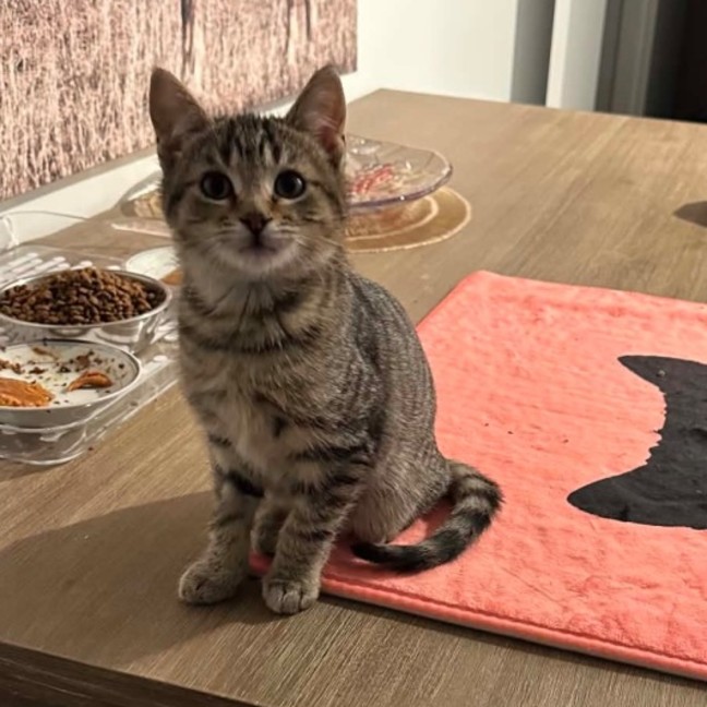 Photo of Odin 