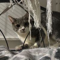 Photo of Daisie