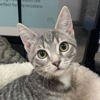 Photo of Ash