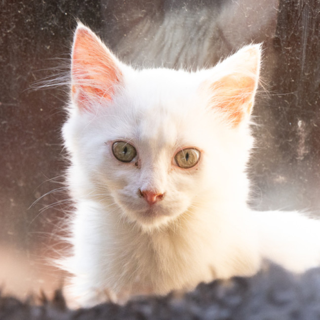 Photo of Thelma