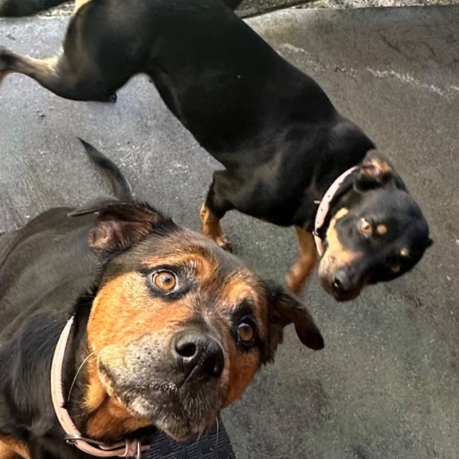 Photo of Ally And Lilly