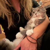 Photo of Pickles