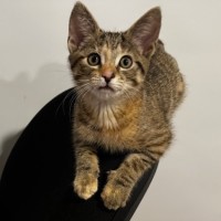 Photo of Susan