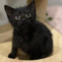 Photo of Wednesday