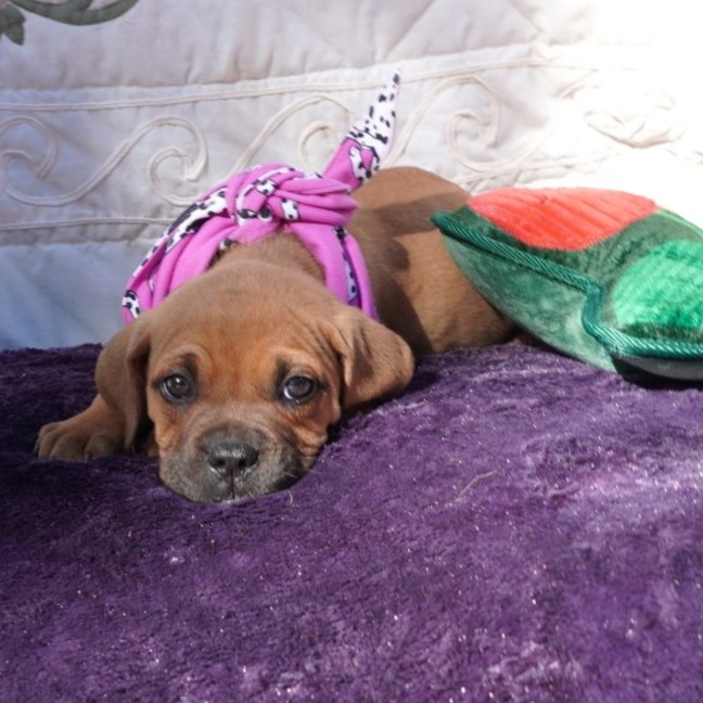 Photo of Buffy