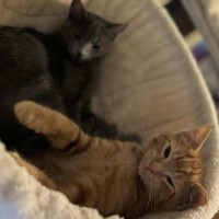 Photo of Dee   Located In Preston