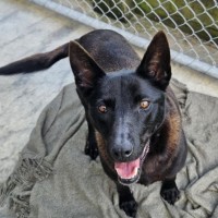 Photo of Minnie 1273